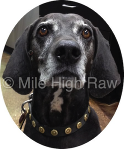 Privacy Policy - Jasmine - Purchase Raw Dog Food - Colorado Raw Dog Food - Minimally Processed Raw Food