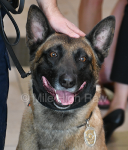 Back the Blue K-9 Force