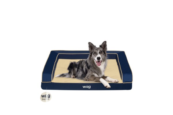 Wag Brands Dog Bed Ocean Blue