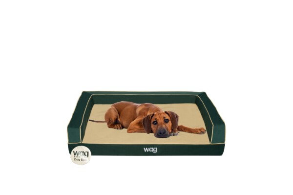 Wag Brands Dog Bed Pine Green