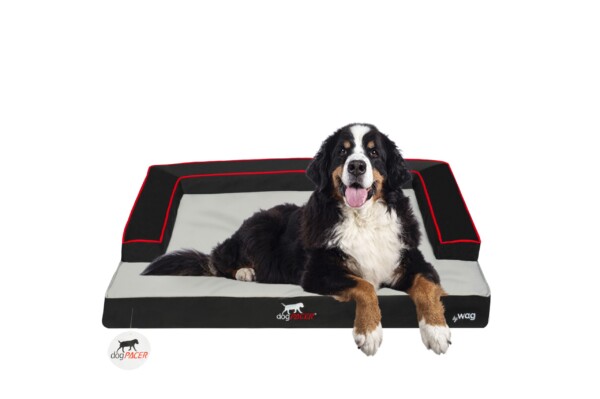 dogPACER Dog Bed 2
